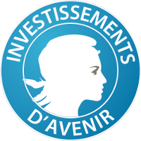 Investissements d'avenir