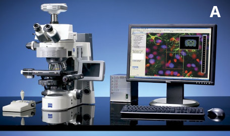 Microscope droit Axio Imager A2 ZEISS équipé du logiciel Neurolucida (A)