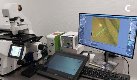 Microscope Axio Observer avec Apotome (C)